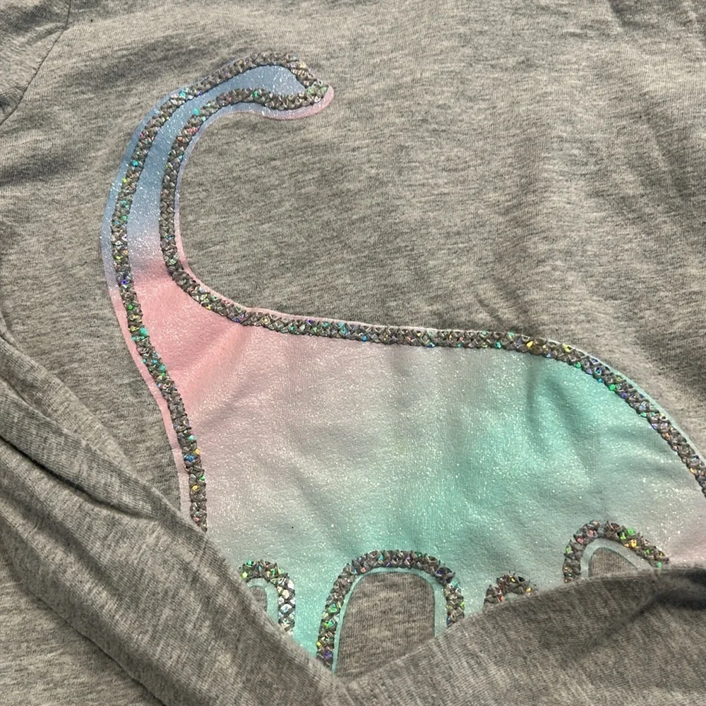 Gray Hoodie with Dinosaur Design